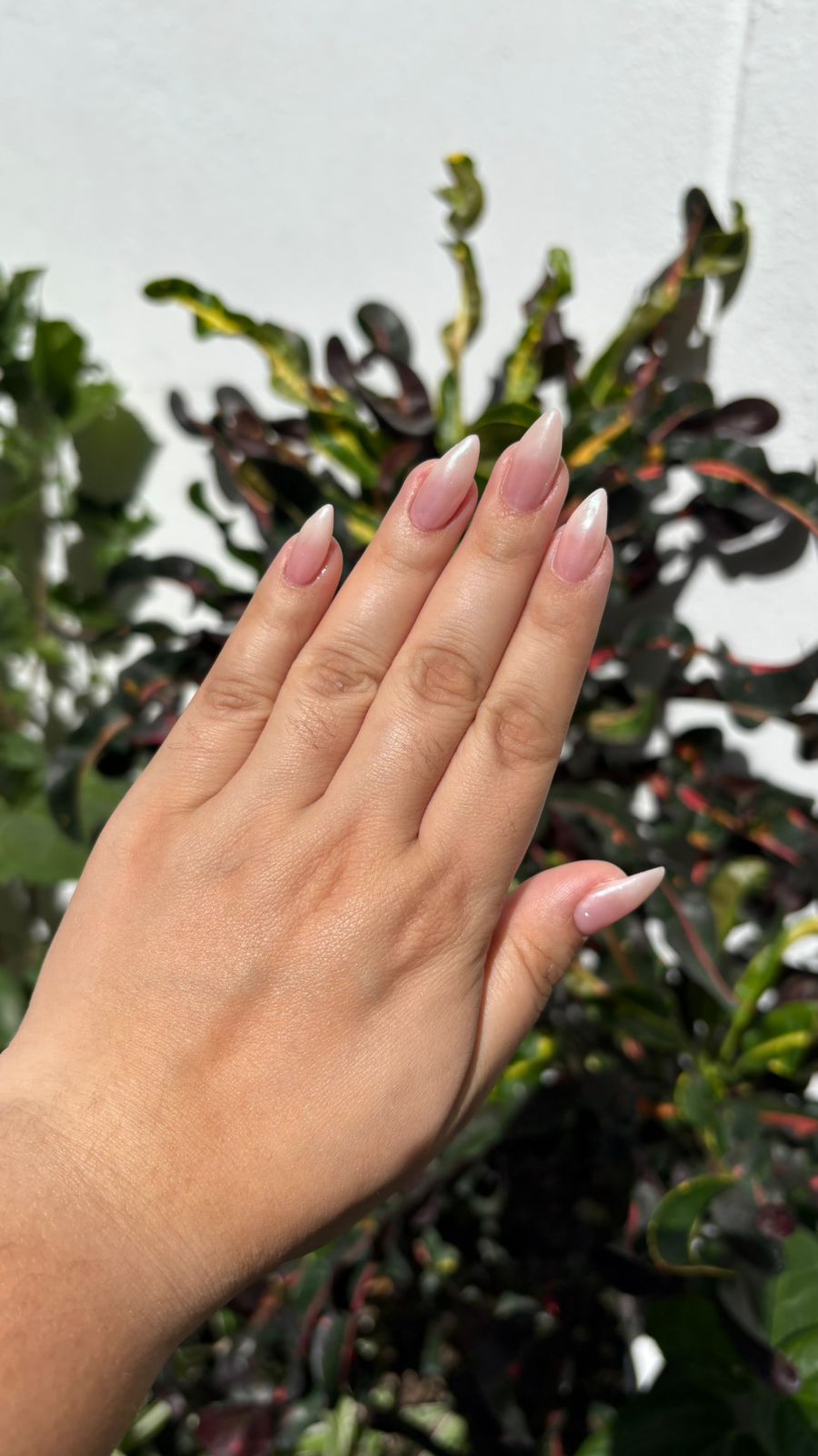 Spa de uñas